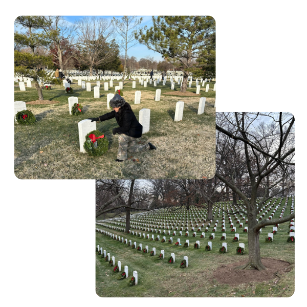 Paid Cares Paid Cares